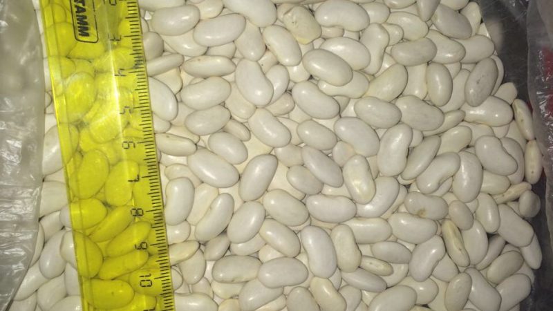 Image-1 (5)