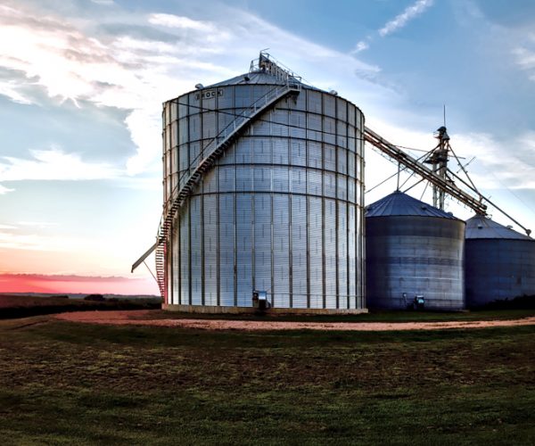 K-agriculture-architecture-building-221369